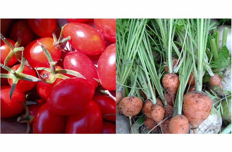 なちゅらる・ふぁーむ・おおつ 2